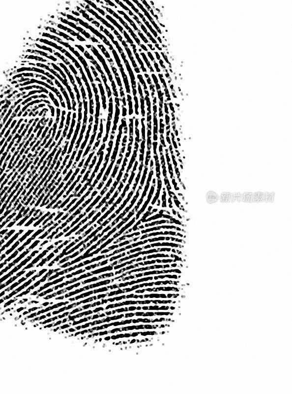 Fingerprint texture 4